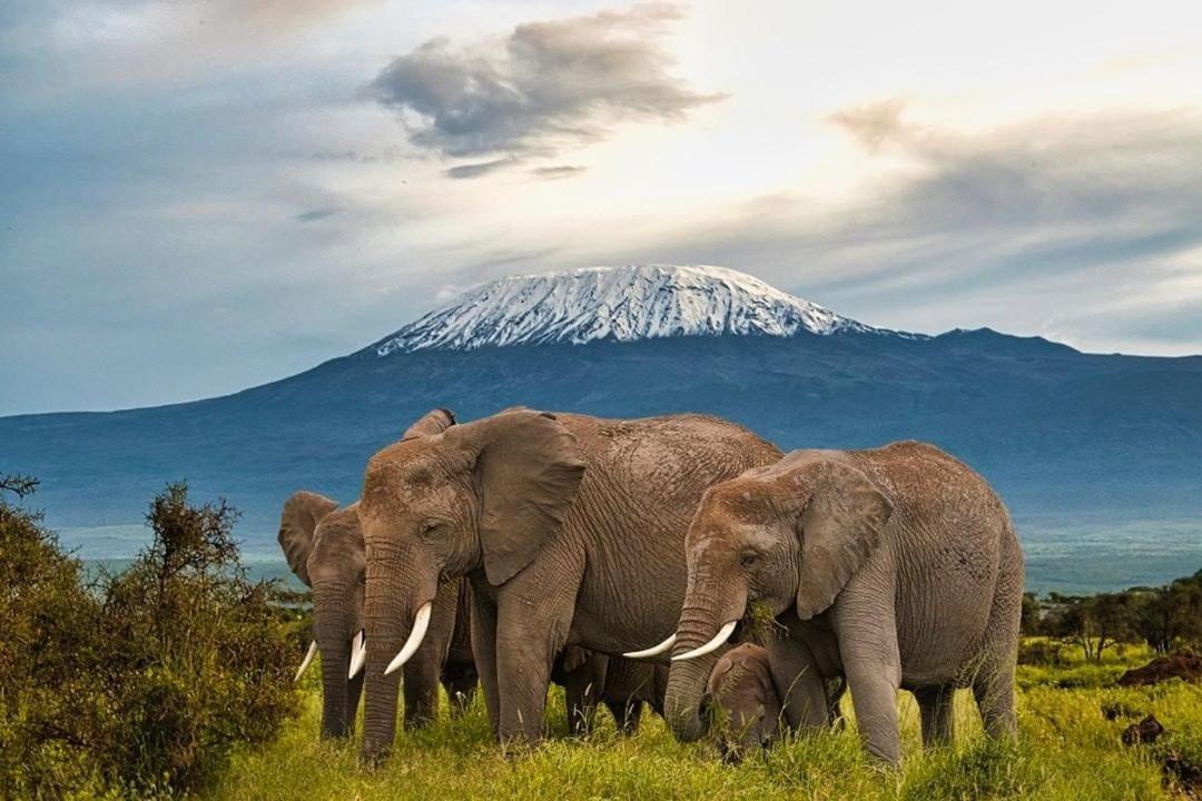 Kimana Amboseli Cultural Camping Exterior foto