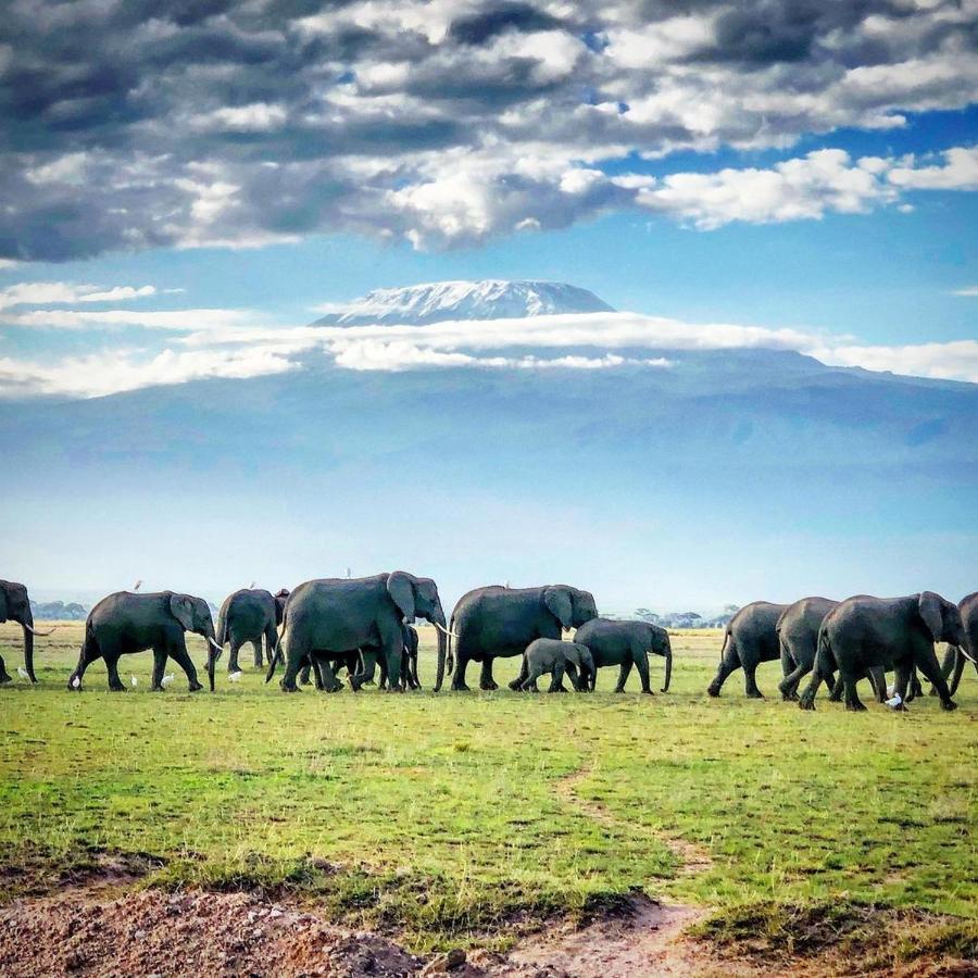 Kimana Amboseli Cultural Camping Exterior foto
